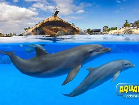 Apartamento Royal Ocean View - Localization